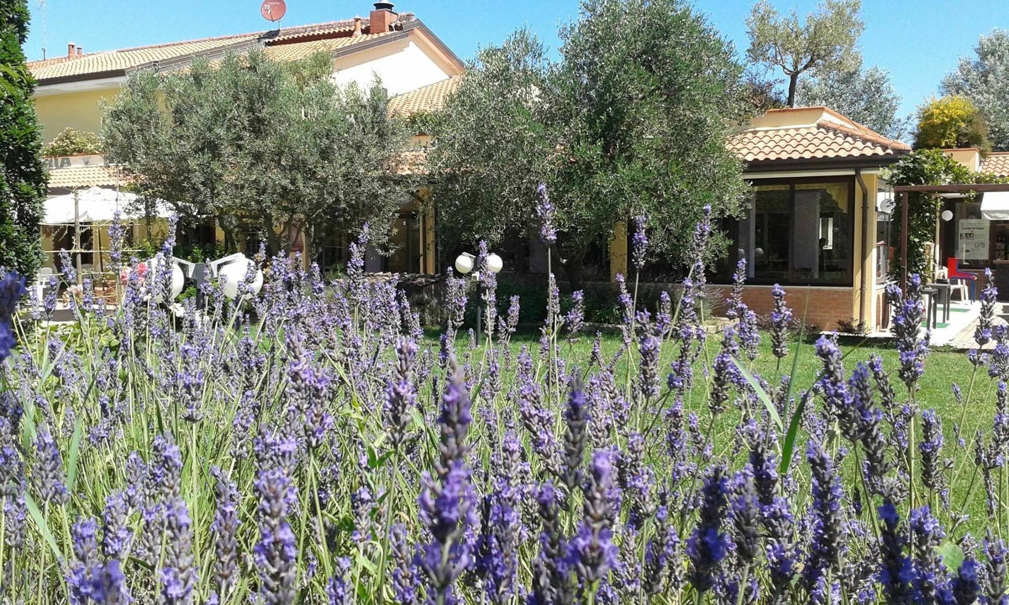 Fattoria Belvedere Bellaria-Igea Marina Exterior foto